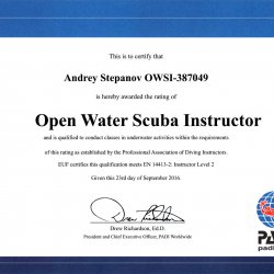 Сертификаты